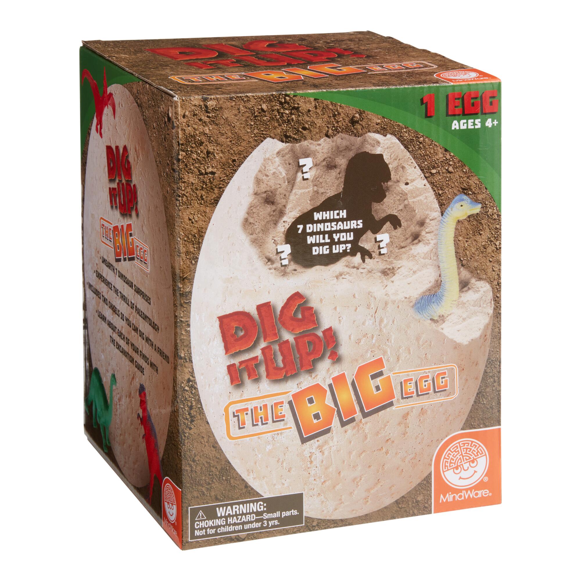 Mindware Dig It Up The Big Dinosaur Egg: Multi - Plastic by World Market