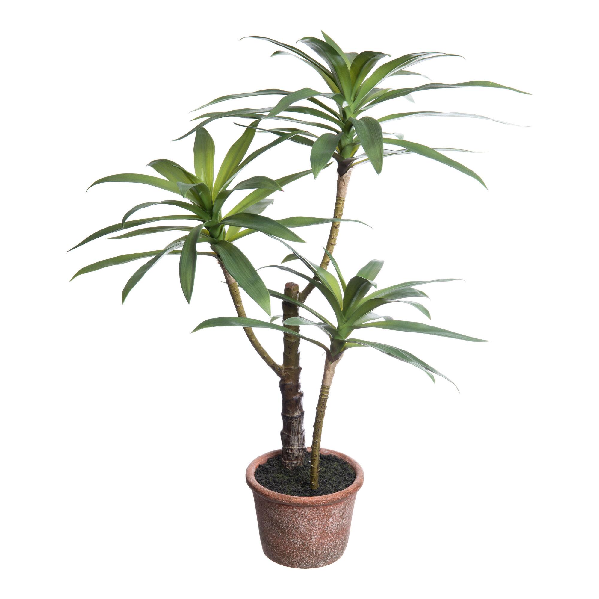 Faux Yucca Plant in Paper Pot: Green by World Market