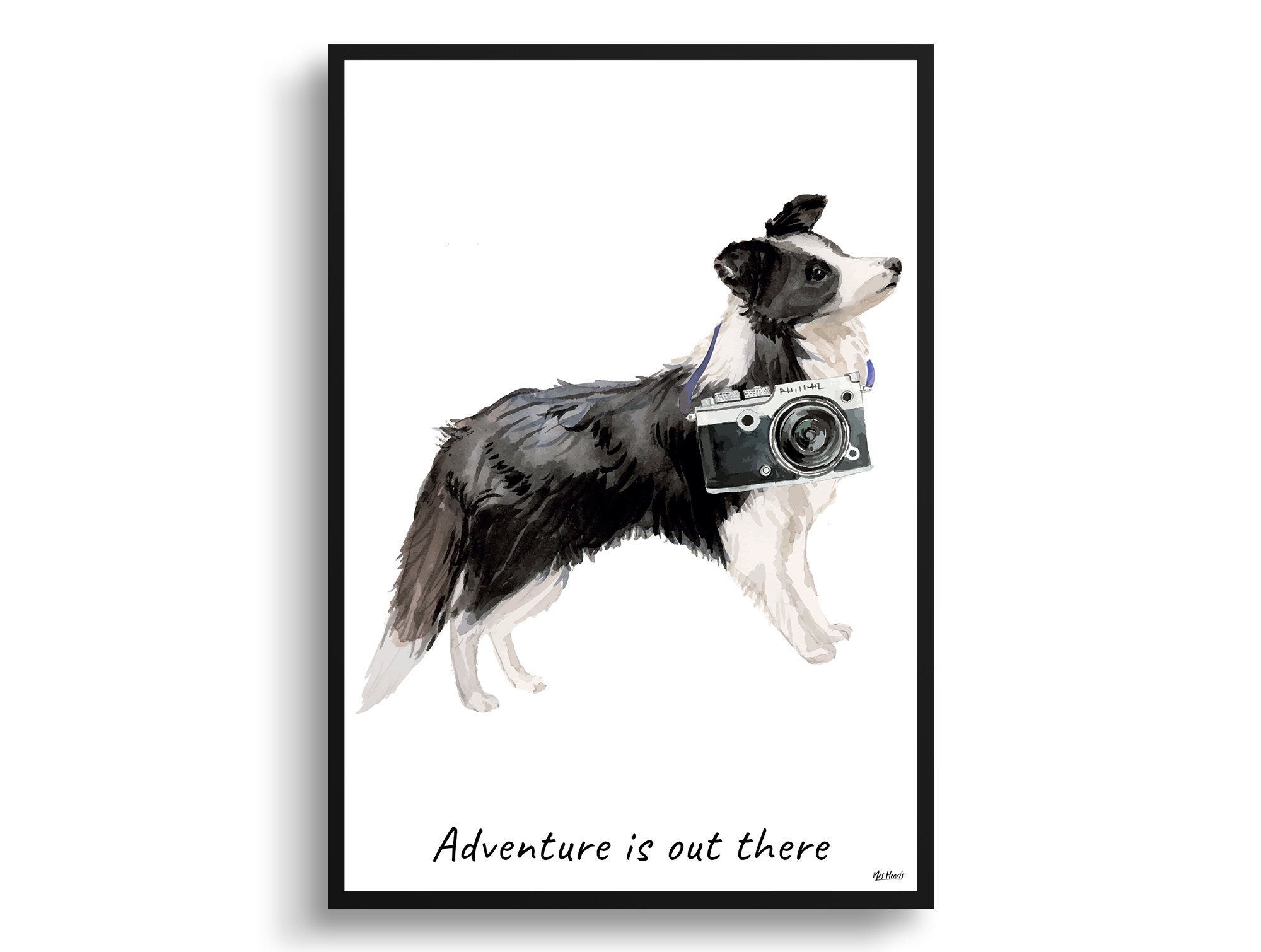 Adventure Is Out There Border Collie Dog Print Illustration. Framed & Un-Framed Wall Art Options. Personalised Name