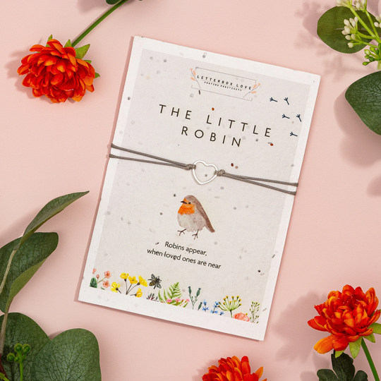 Buy Eco Friendly Robin Bracelet | Seeded Greetings Card & When Robins ...