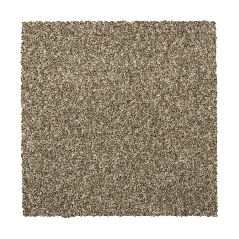STAINMASTER Vibrant Blend I CANCUN Carpet Sample Polyester in Brown | STP32-L003-0808