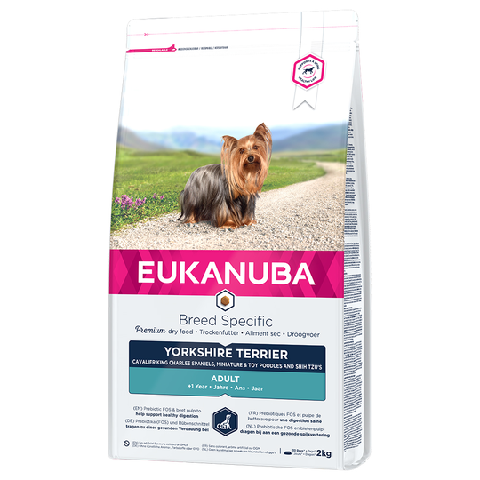 Osta Eukanuba Adult Yorkshire Terrier - Breed Specific - säästöpakkaus: 3 x  2 kg netistä 