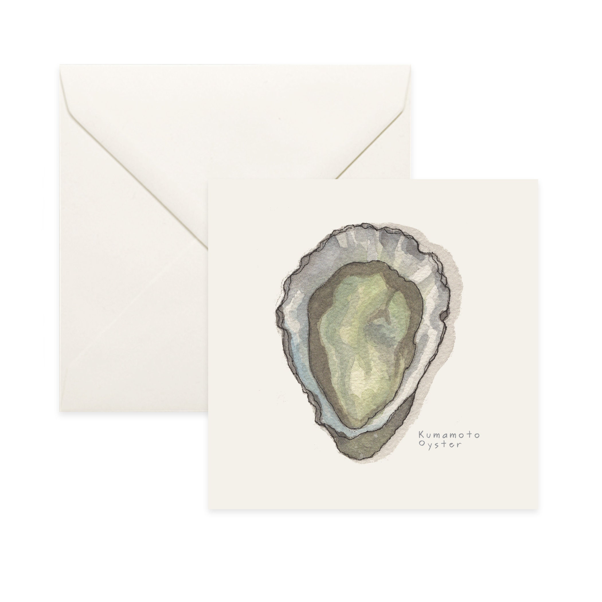 Oysters Kumamoto/Notecard Thank You Card Message Birthday Nature Illustration Oyster Shell Seafood