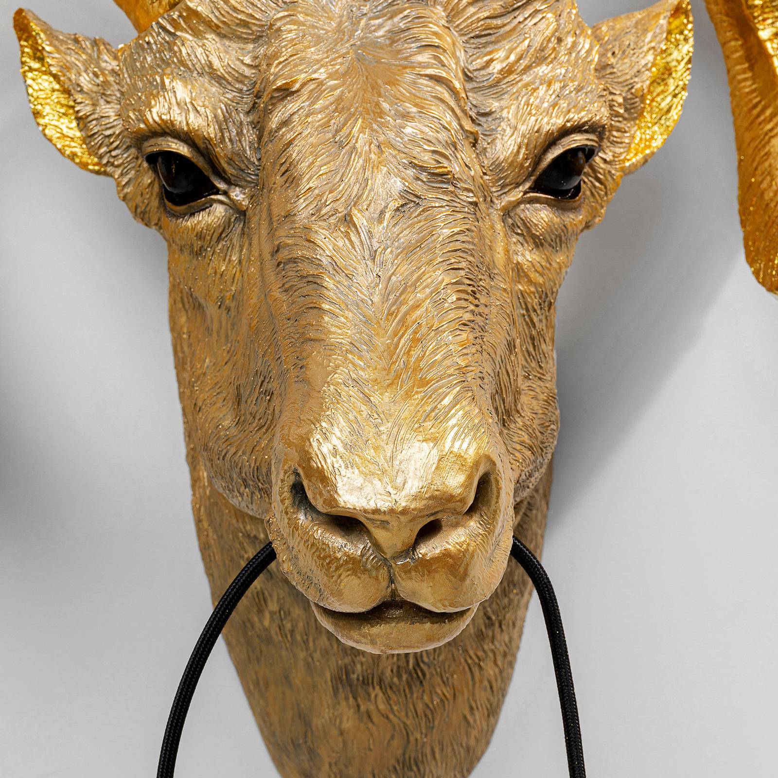 KARE Animal Aries Head -seinälamppu pistokkeella
