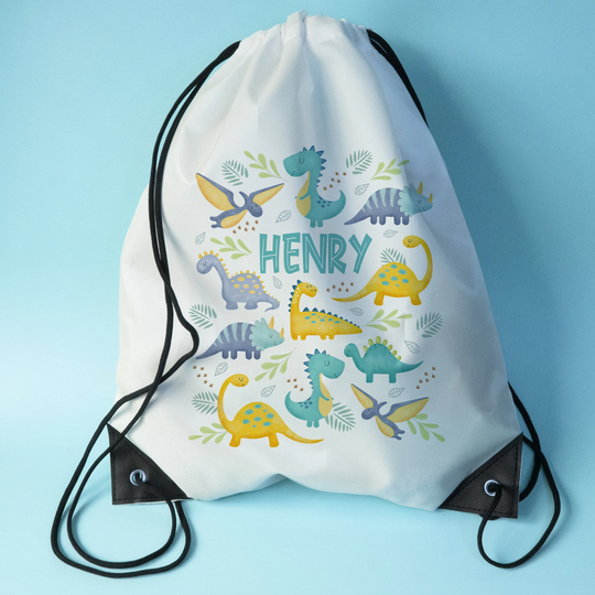 Dinosaur pe online bag