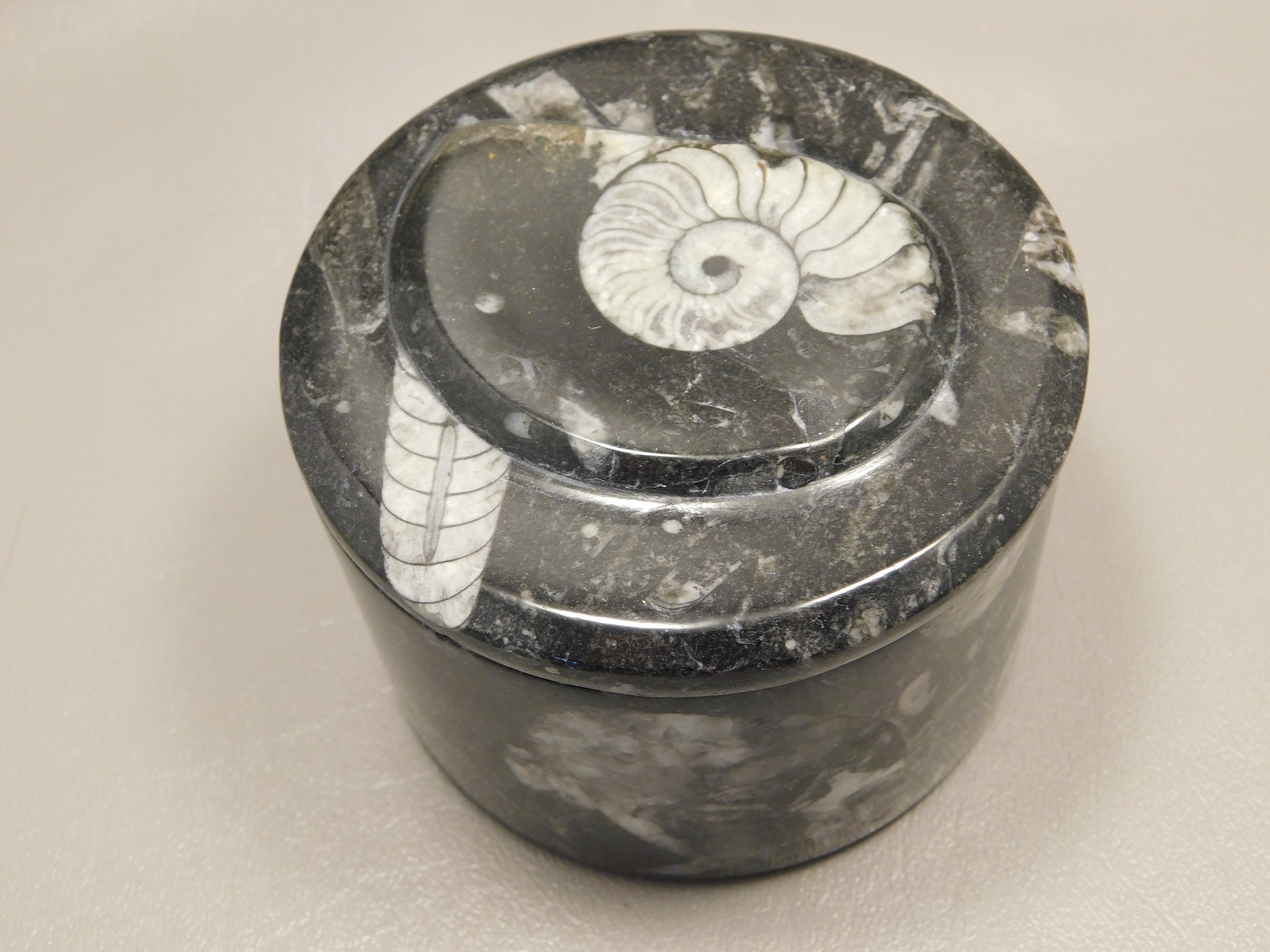 Ammonite Fossil 3.5 Inch Round Natural Stone Trinket Jewelry Box Or Blessing #e2