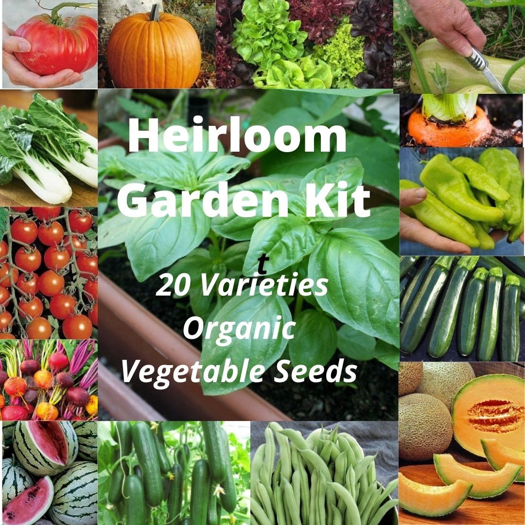 20 Heirloom Fall Vegetable Garden Seed Kit, Variety Pack, Gift, Survival Kit