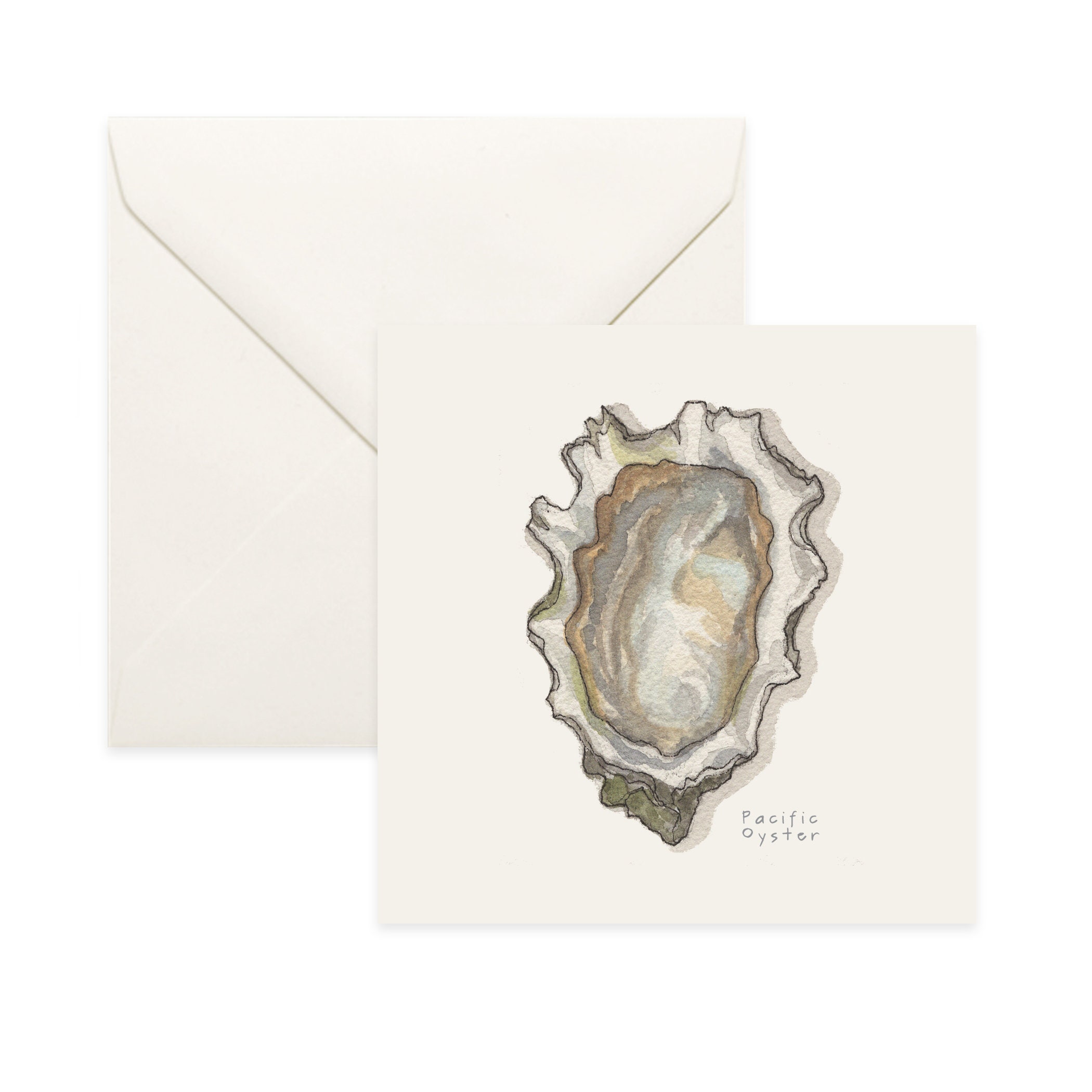 Oysters Pacific/Notecard Thank You Card Message Birthday Nature Illustration Oyster Shell Seafood