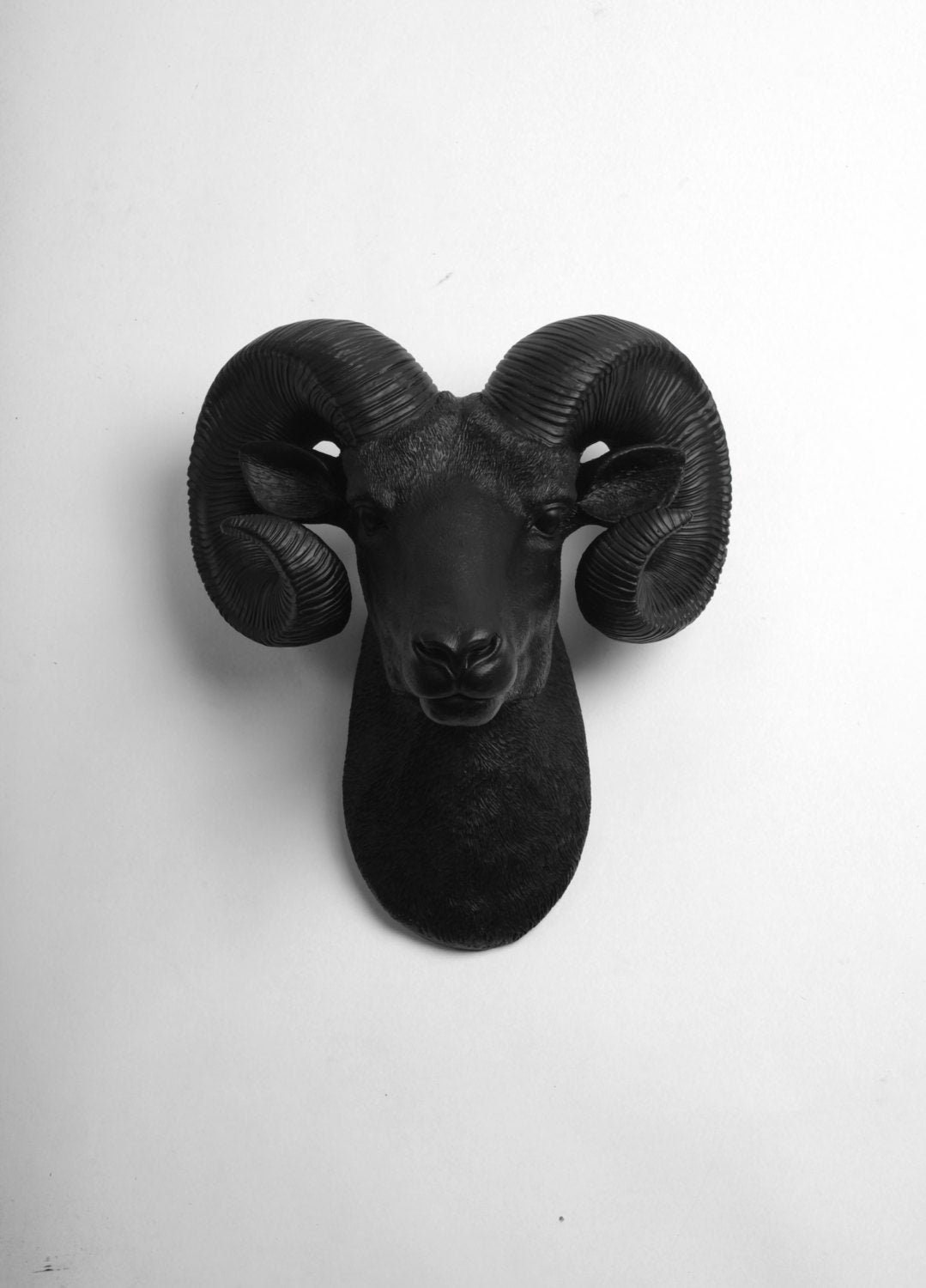 xl Black Ram Head Wall Mount with Horns - The Darby Rustic Bighorn Sheep/Ram, Modern Farmhouse Home Decor By White Faux Taxidermy