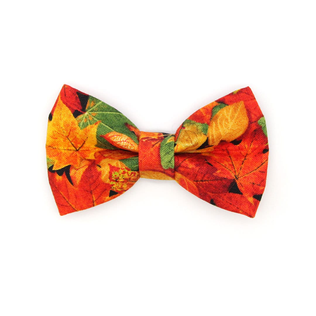 Cat Bow Tie - Forever Fall Autumn Leaves For Collar/Thanksgiving, Harvest, Maple + Small Dog Bowtie"