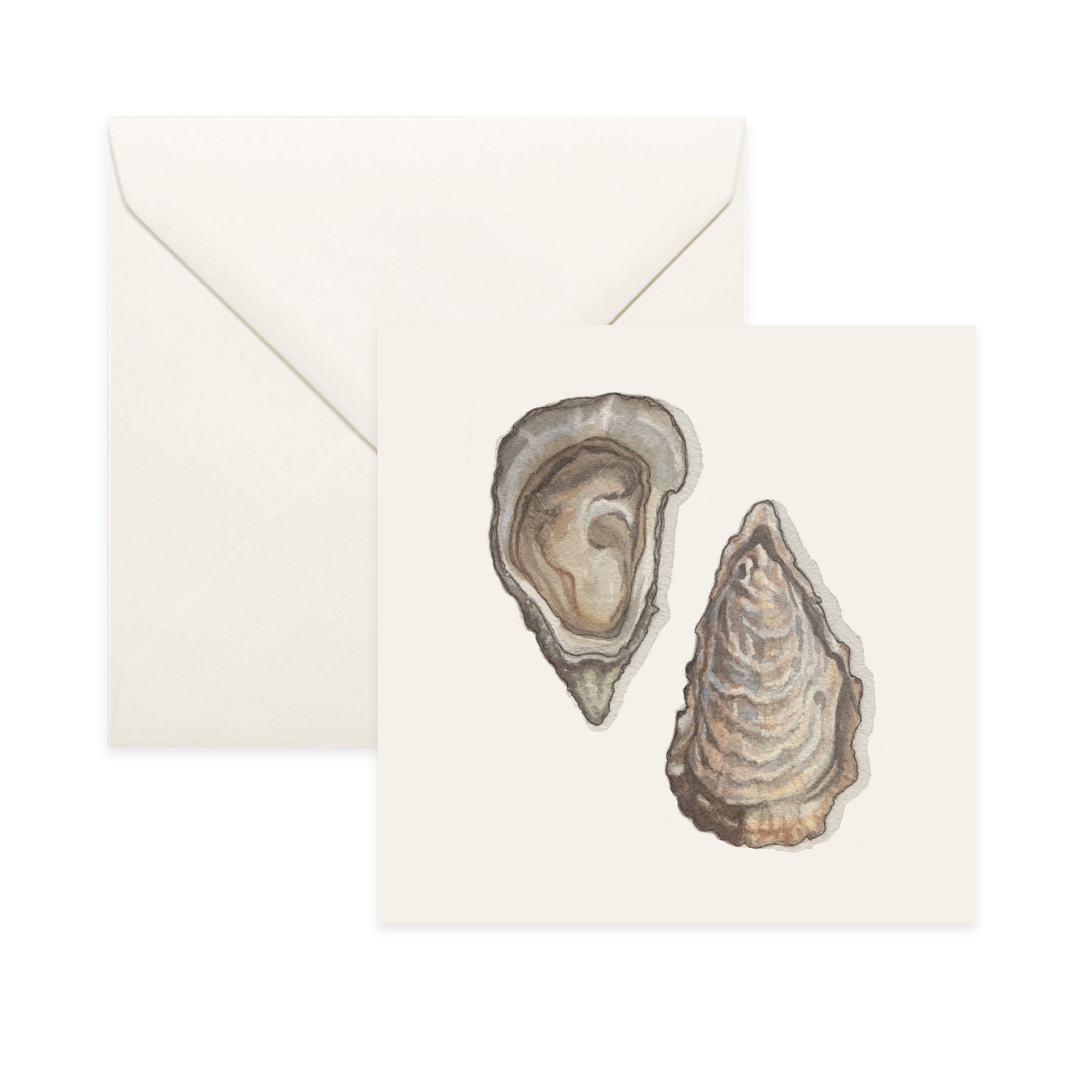 Oysters Notecard/Thank You Card Message Birthday Nature Illustration Oyster Shell Seafood