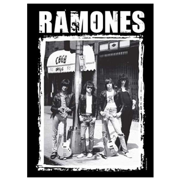 Ramones Cbgb Photo Tapestry Cloth Fabric Poster Flag Wall Banner