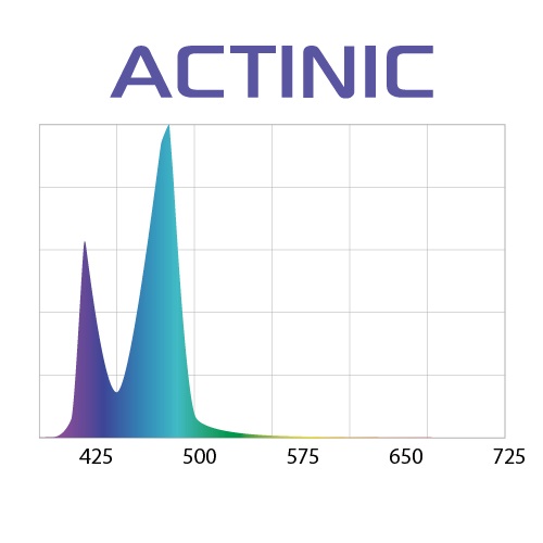 Aquael Lysrör LED Slim Actinic Svart 32W 20000K