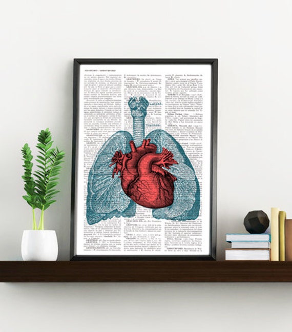 Doctor Gift Heart & Lungs Anatomy Book Page Print On Vintage Encyclopedic Page - Upcycled Gift - Art Ska030