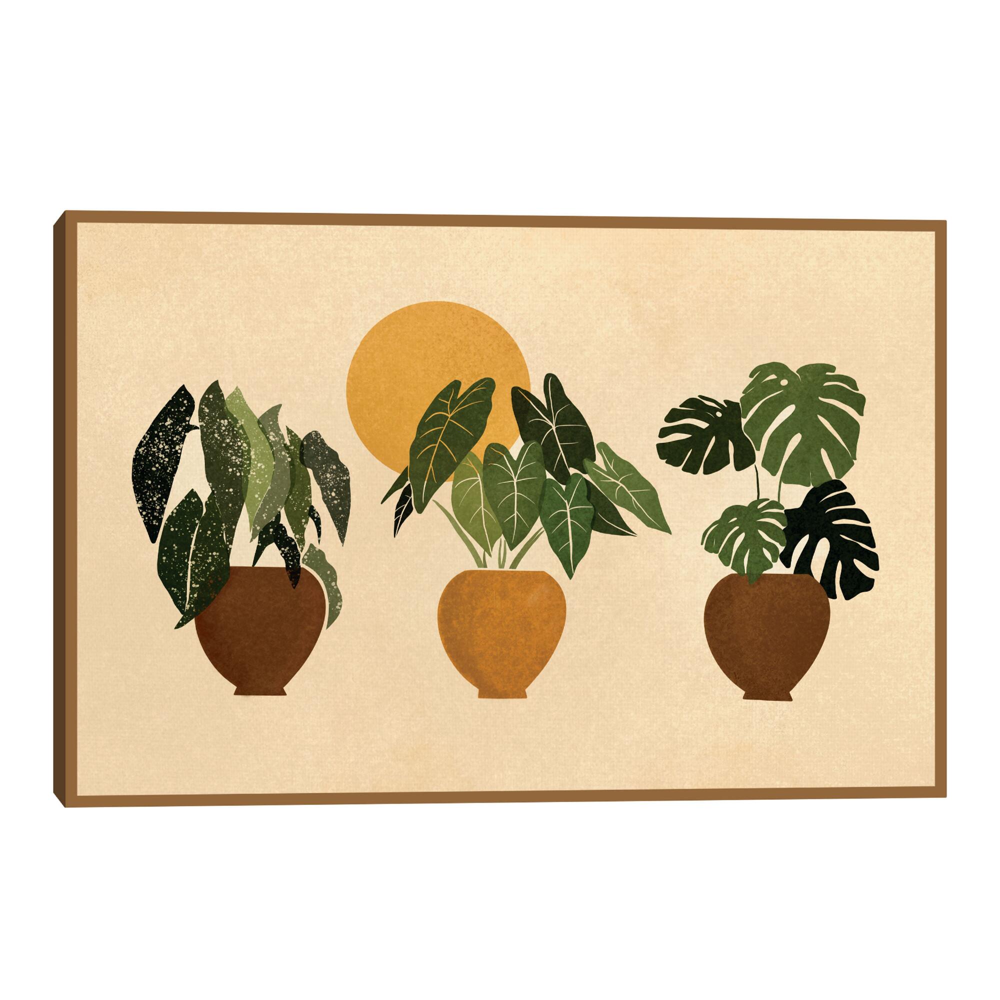 Houseplants by Bria Nicole Framed Canvas Wall Art: Multi by World Market