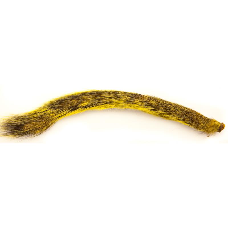 Squirrel Tail - Yellow Wapsi