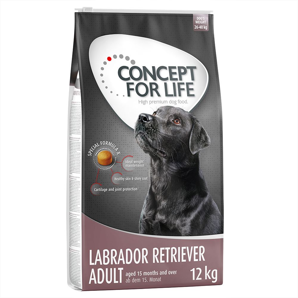 Concept for Life Labrador Retriever Adult - Economy Pack: 2 x 12kg