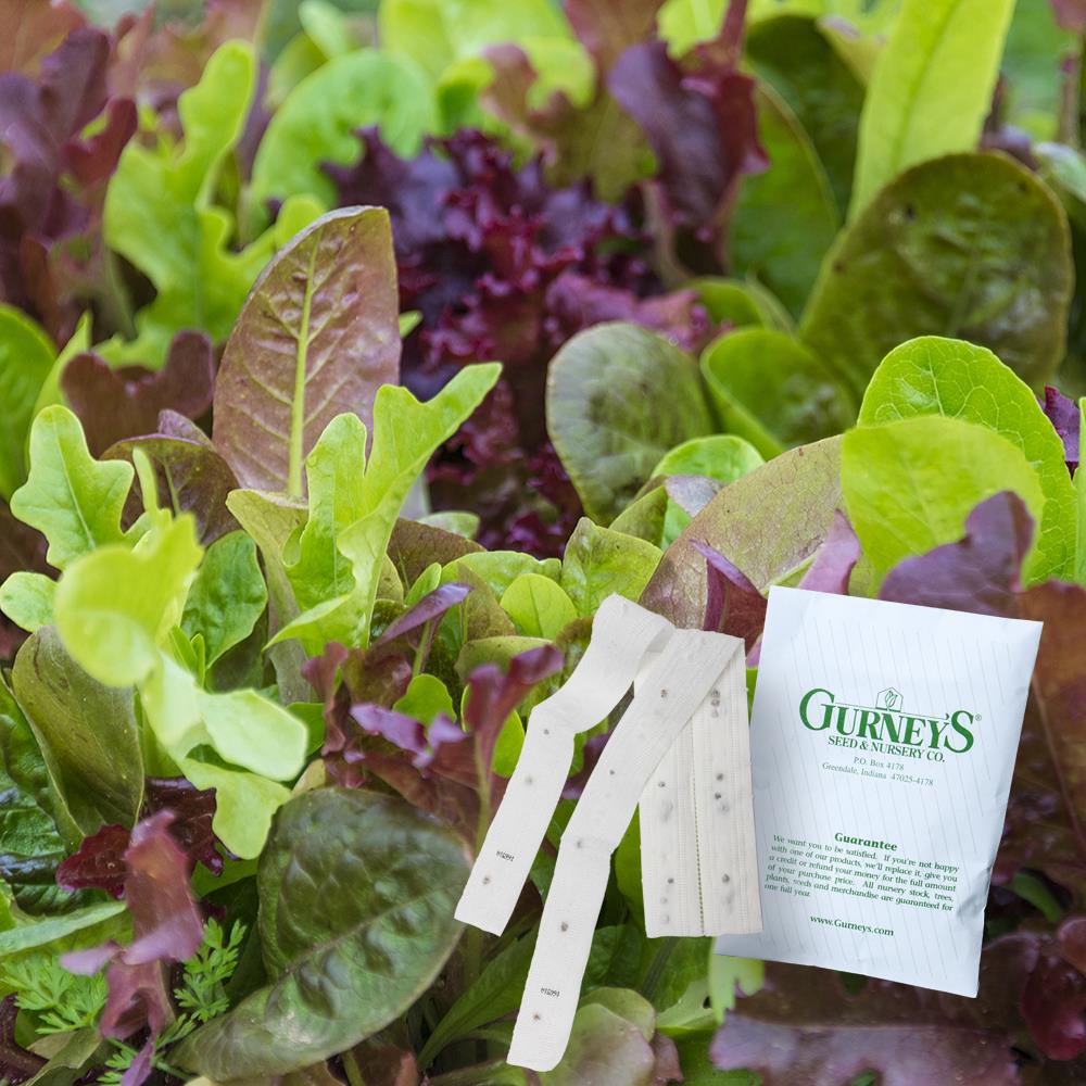 Gardens Alive! Gurney's 2 7.5 -ft Lettuce Premium Blend Seed Tapes (N/A) | 39805