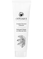 Odylique Creamy Coconut Cleanser sample