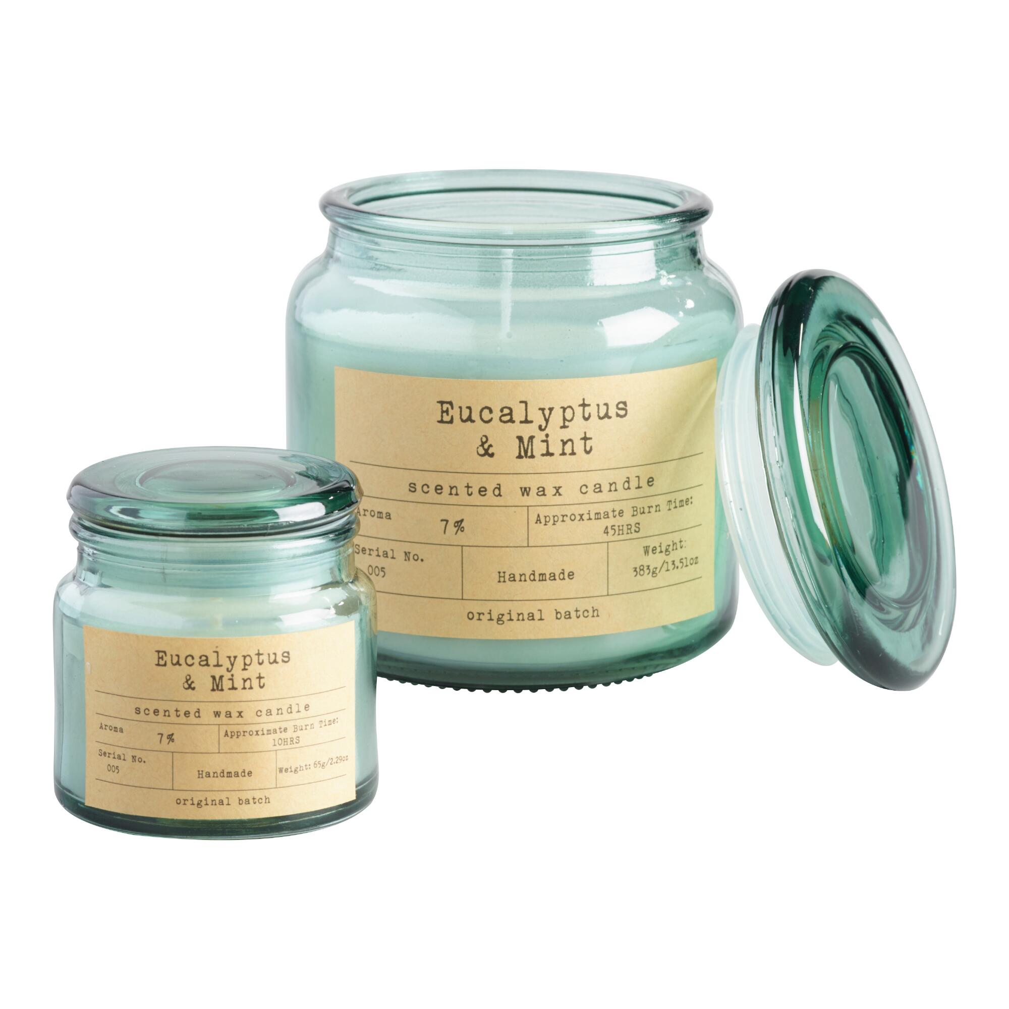 Eucalyptus & Mint Apothecary Scented Candle: Blue/Brown/Gray/Pink by World Market