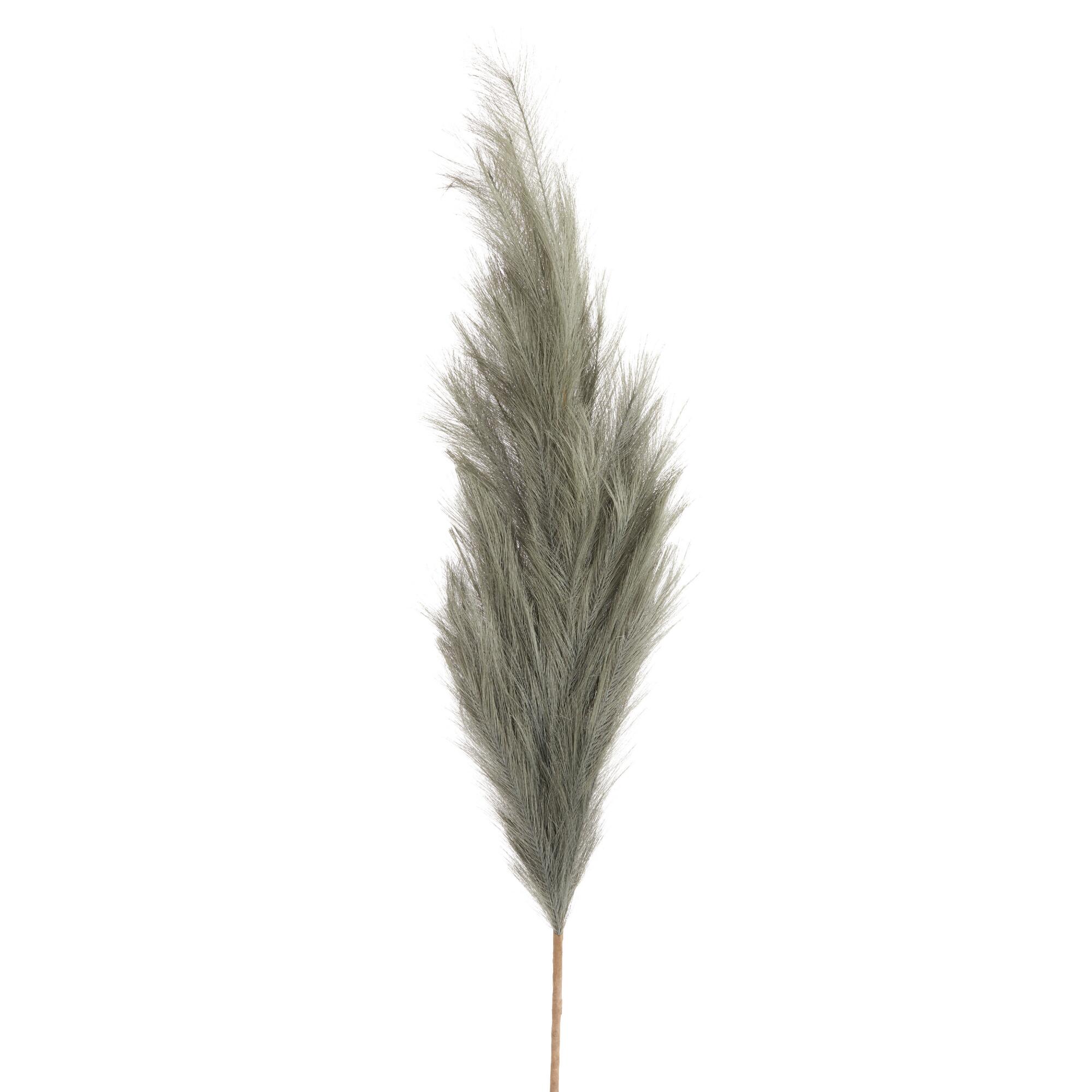 Large Teal Green Faux Pampas Grass Stem by World Market