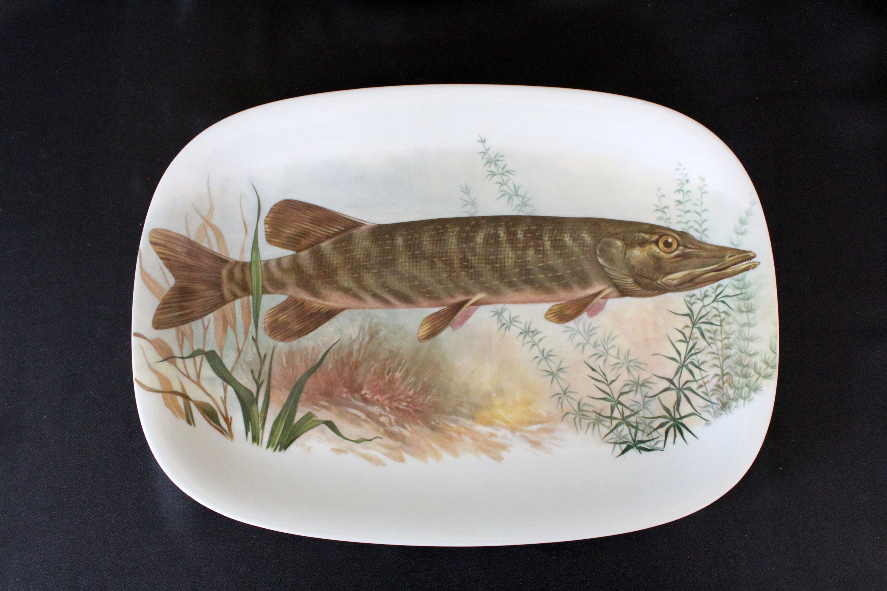 Vintage Porcelain Langenthal Swiss Serving Platter, Plate, Seafood Fish Scenic Water View, Large Switzerland