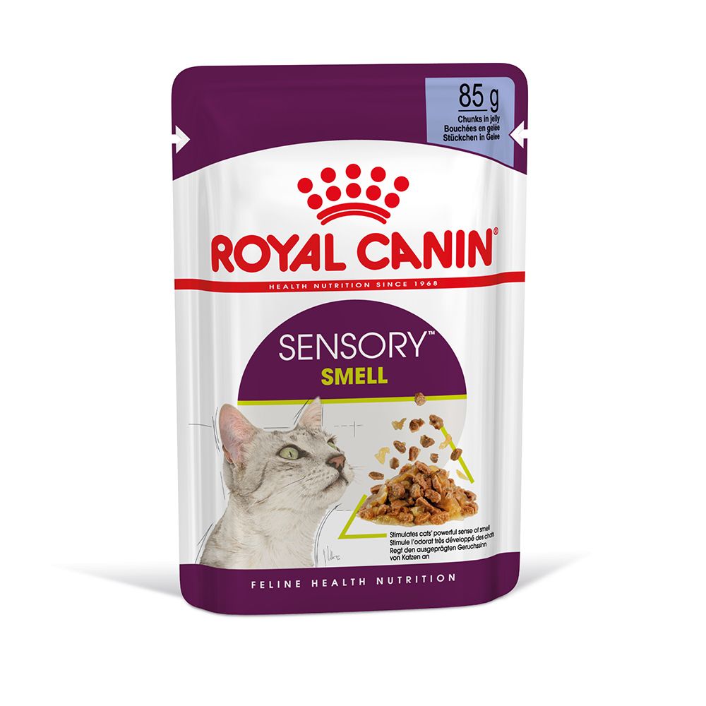 Royal Canin Sensory Smell in Jelly - Saver Pack: 48 x 85g