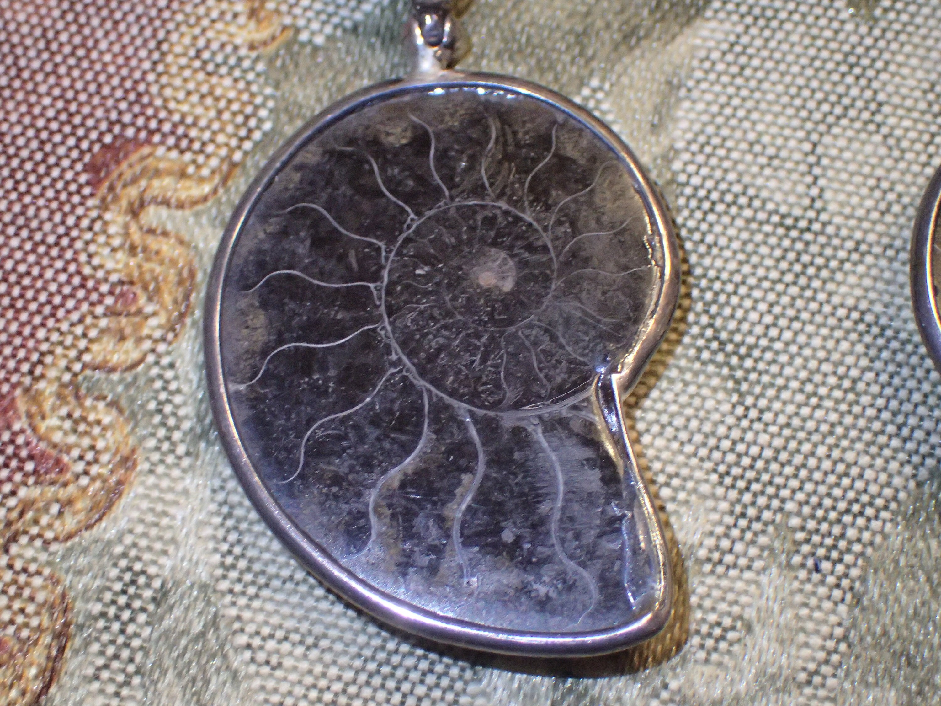 Fossil Ammonite Pendant in Sterling Silver