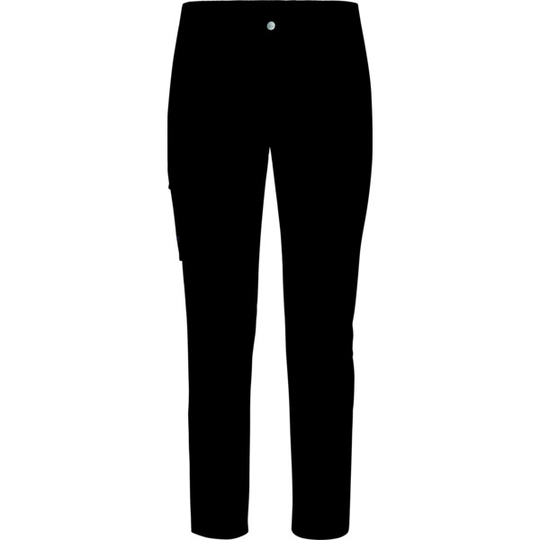 arc teryx alroy pant women's