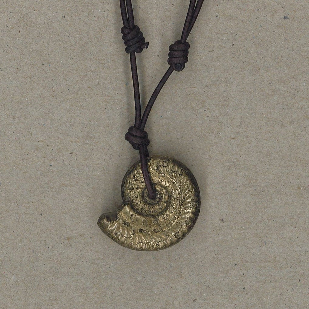 Fossil Ammonite Pendant Adjustable Leather Necklace Handmade By Chris Hay