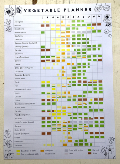 Buy A3 Annual Vegetable Growing Planner // Allotment & Garden Calendar ...