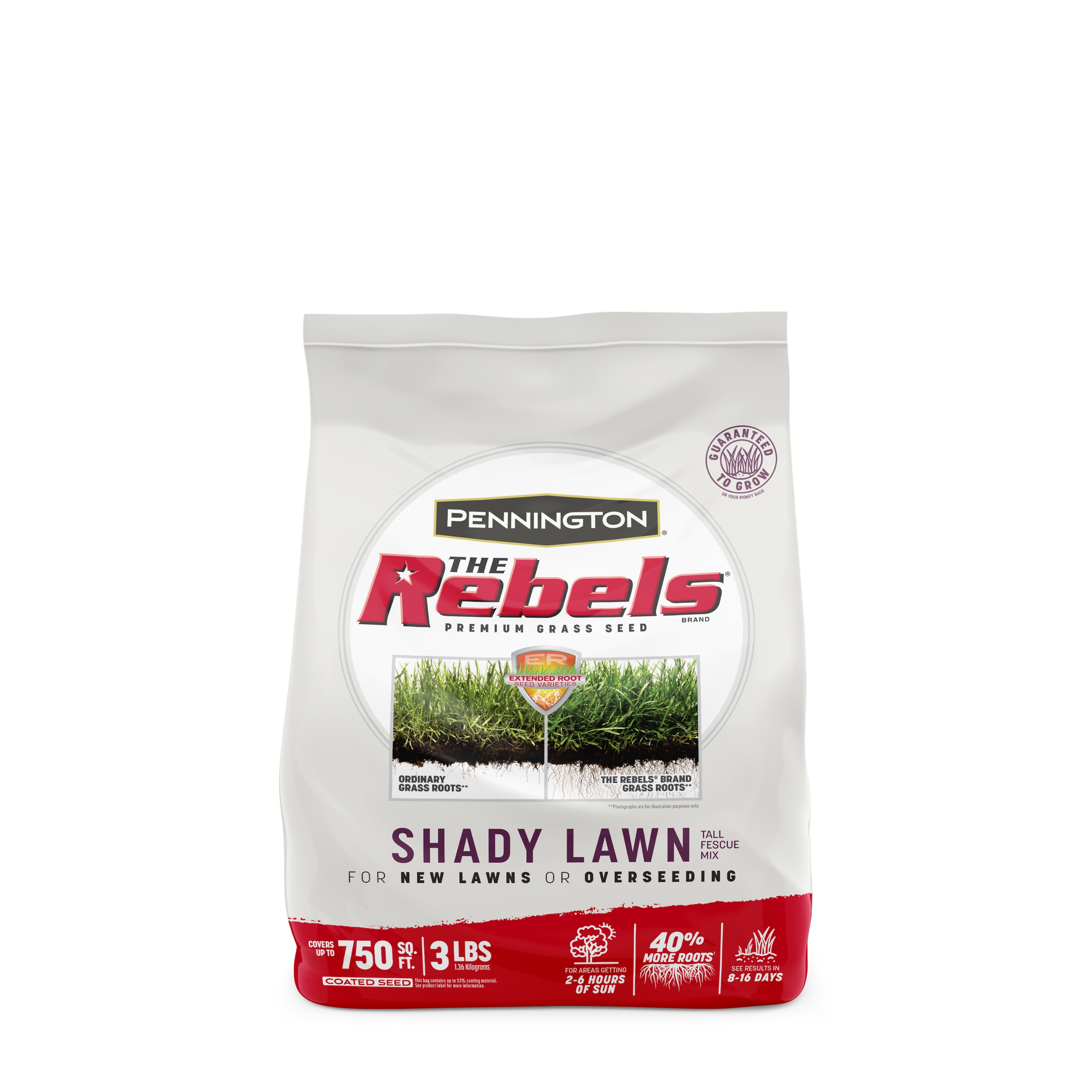 Pennington The Rebels 3-lb Mixture/Blend Grass Seed | 2149602284