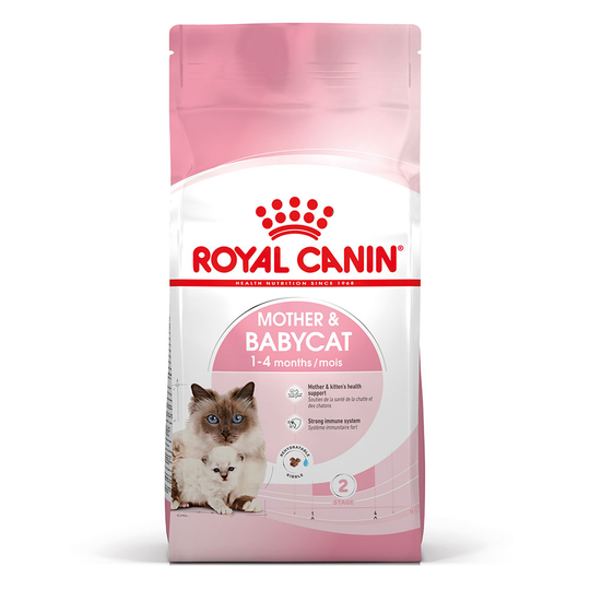 Osta Royal Canin Mother & Babycat - 400 g netistä 
