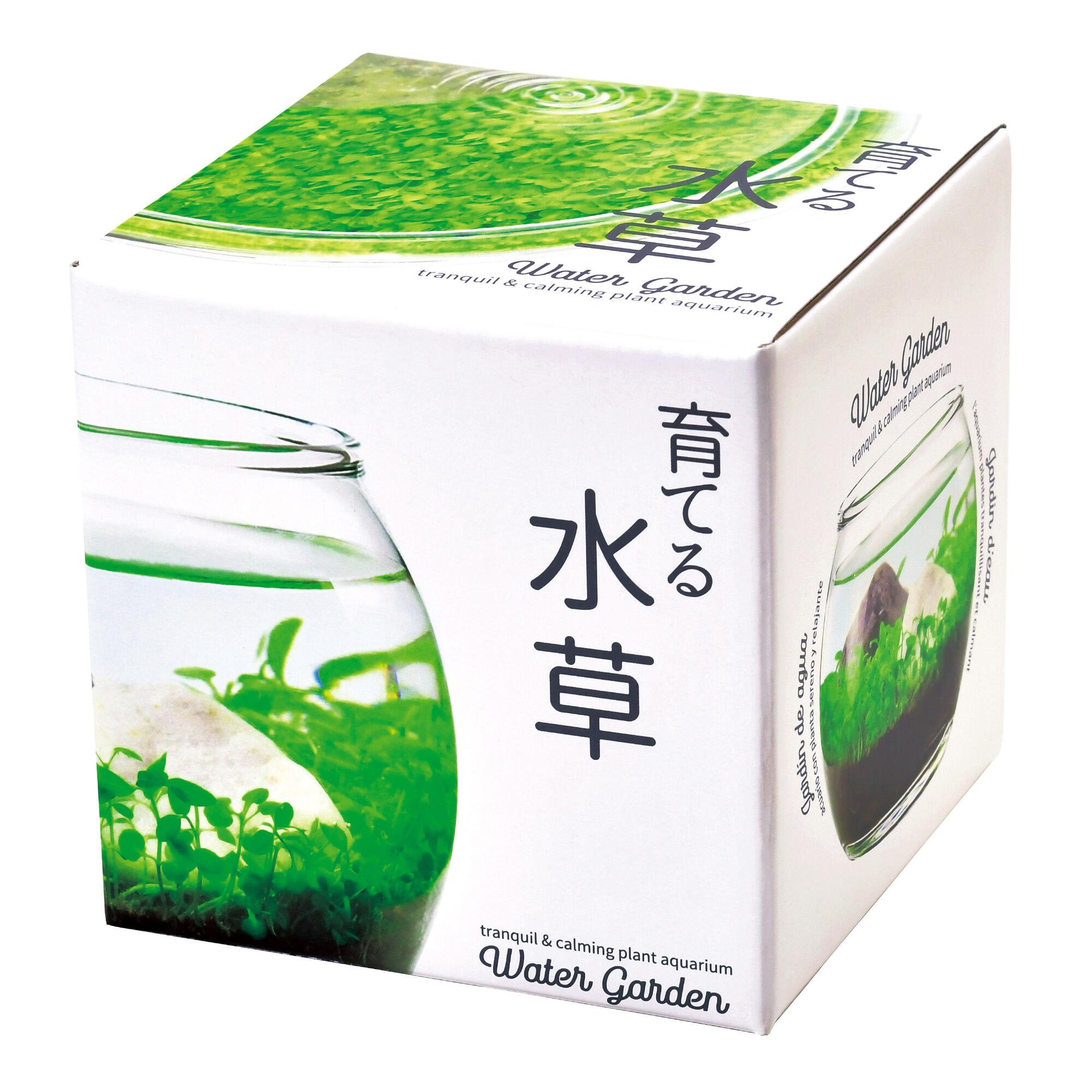 Noted Water Garden Glass Plant Aquarium Set: Multi - Natural Fiber by World Market