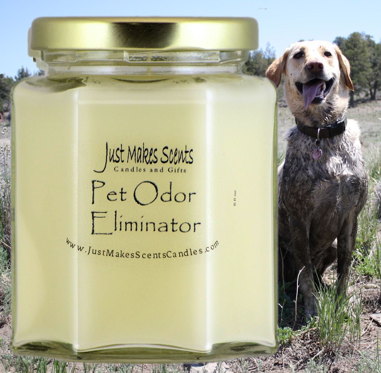 Pet Odor Eliminator Candles - Blended Soy