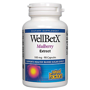 WellBetx Mulberry Extract - 100 MG (90 Capsules)
