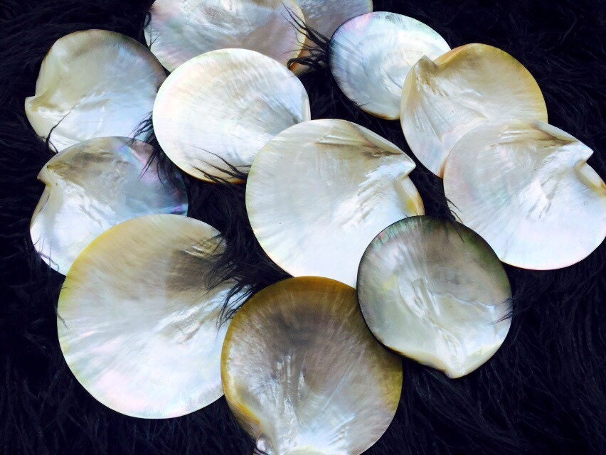Choice Of Mother-Of-Pearl Shell Appetizer Plates With High-Gloss Finish