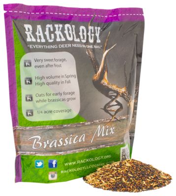 Rackology Brassica Mix Staging Blend Premium Food Plot Seed Blend