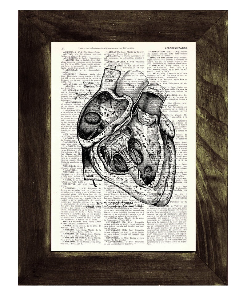 Wall Art Print Heart Section Anatomy Dictionary Print On Vintage Encyclopedic Gift Human Heart Ska039
