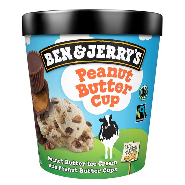 Ben & Jerry's Peanut Butter Cup Ice Cream