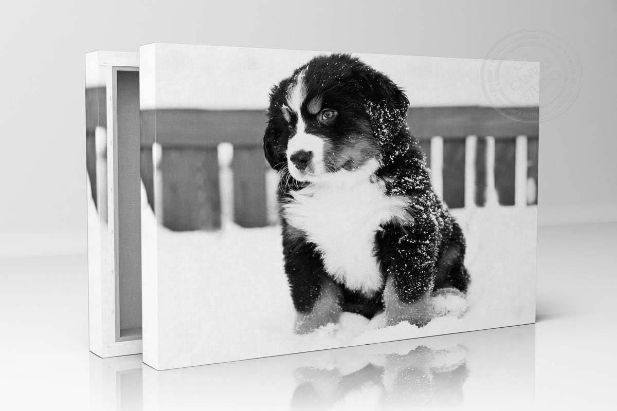 Dog Photo On Canvas, Pet Print, Your Dog Custom Canvas Cotton Personal To Art