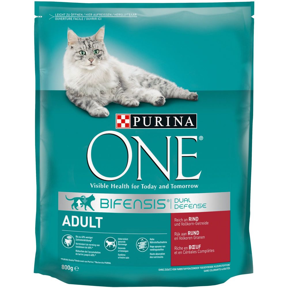 Purina ONE Adult Beef & Whole Grains Dry Cat Food - 800g