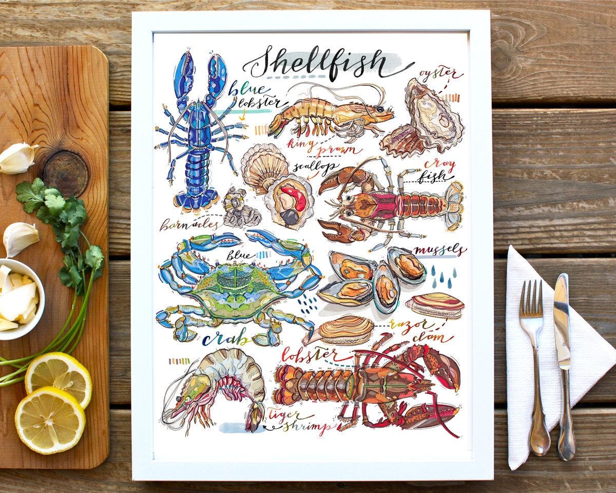 Shellfish Illustration. Seafood Print. Kitchen Decor. Fish Art. Food Lobster. Crab. Oyster. Crustaceans. Shop. Types Of Shellfish