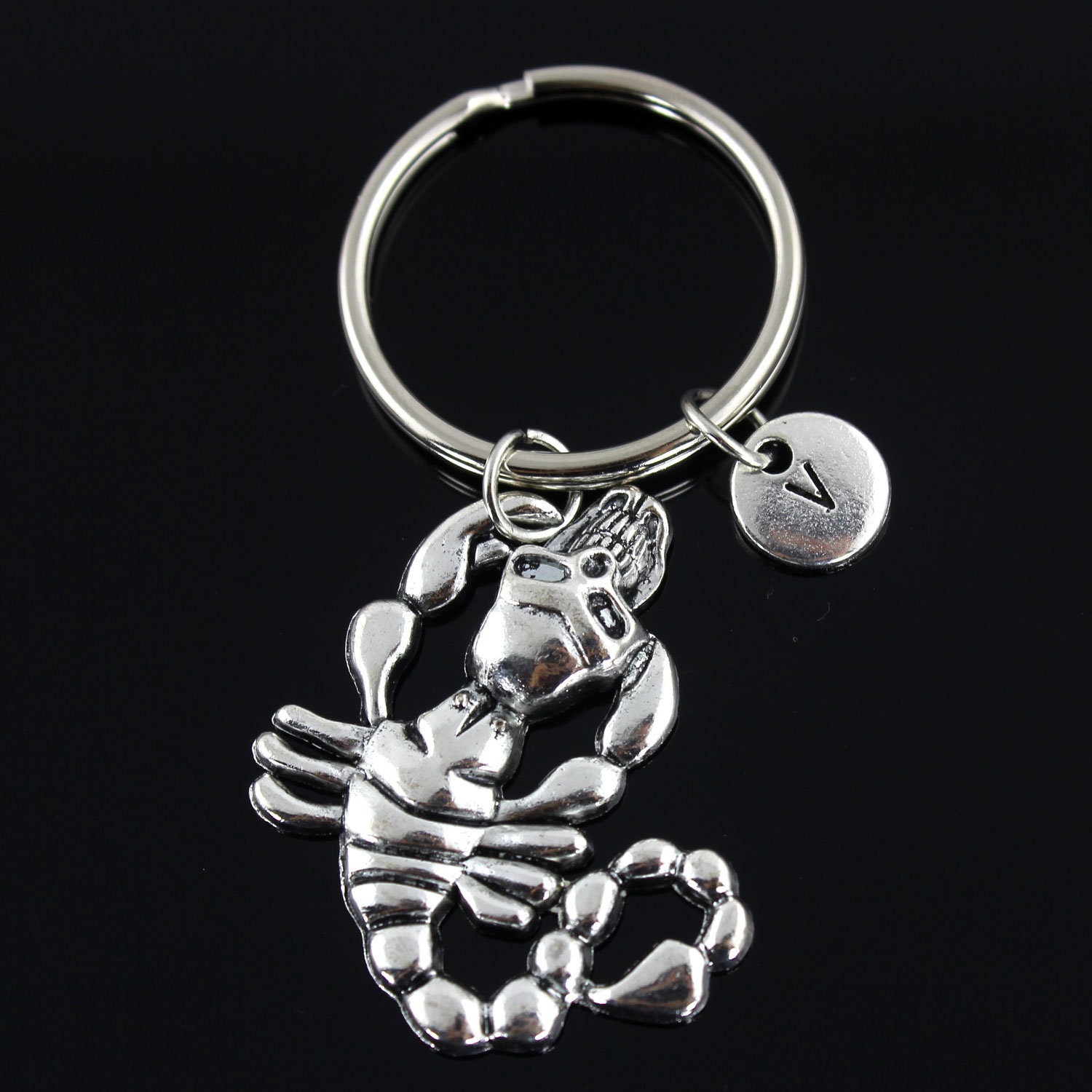 Scorpion Key Ring, Personalized Keychain, Skeleton Keyring, Initial Jewelry