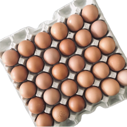 Osta Hornan vapaiden kanojen munat 2x10 kpl kenno netistä