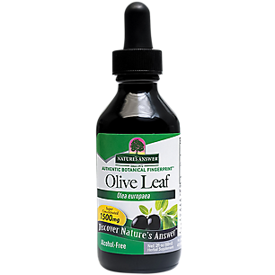 Olive Leaf - Super Concentrated & Alcohol Free - 1,500 MG (2 Fluid Ounces)