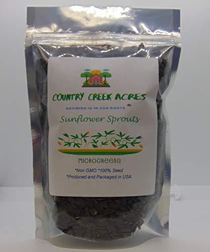 Sunflower Sprouting Seed, Non GMO - 2 oz - Country Creek Acre Brand - Sunflower