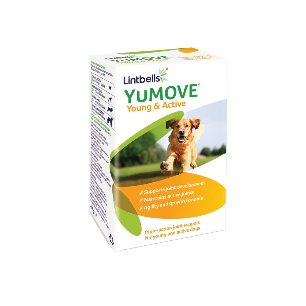 Lintbells YuMOVE Joint Supplement for Young and Active Dogs - 240 Tablets