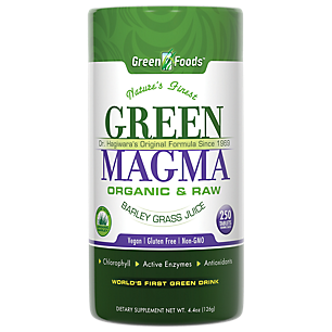 Raw Organic Green Magma Barley Grass Juice - Chlorophyll, Active Enzymes, Antioxidants - 500 MG (250 Tablets)