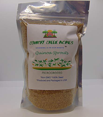 Quinoa Sprouting Seed, Non GMO - 16 oz - Country Creek Acres Brand - Quinoa for